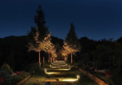 An outdoor picture of a walkway during in the nature with lighting on controlled by Dimi wireless switch